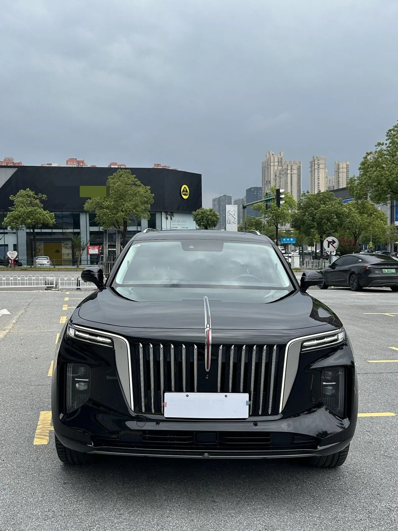 HongQi 2021 E-HS9 Flag Enjoy 6-seat Automatic Gear 2