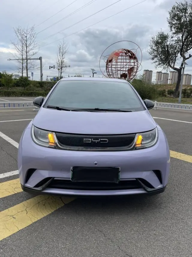 BYD 2023 Dolphin 420km Fashion Edition Automatic 2