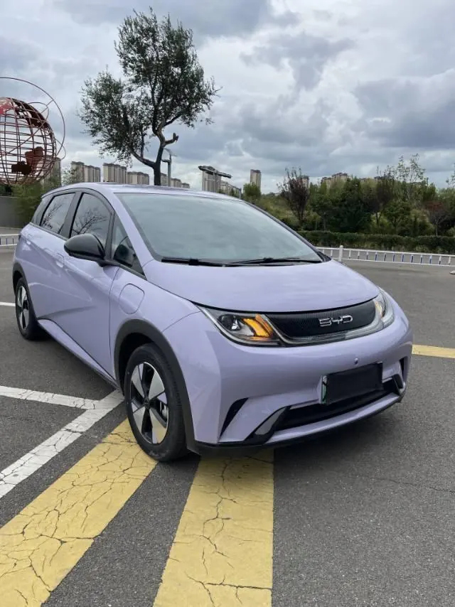 BYD 2023 Dolphin 420km Fashion Edition Automatic 3