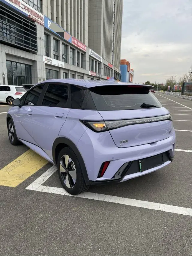 BYD 2023 Dolphin 420km Fashion Edition Automatic 7