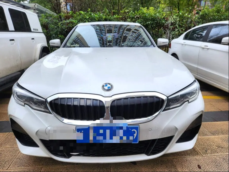 BMW 3 Series 2020 325Li xDrive 2.0T M Sports Suit Automatic Gear 2
