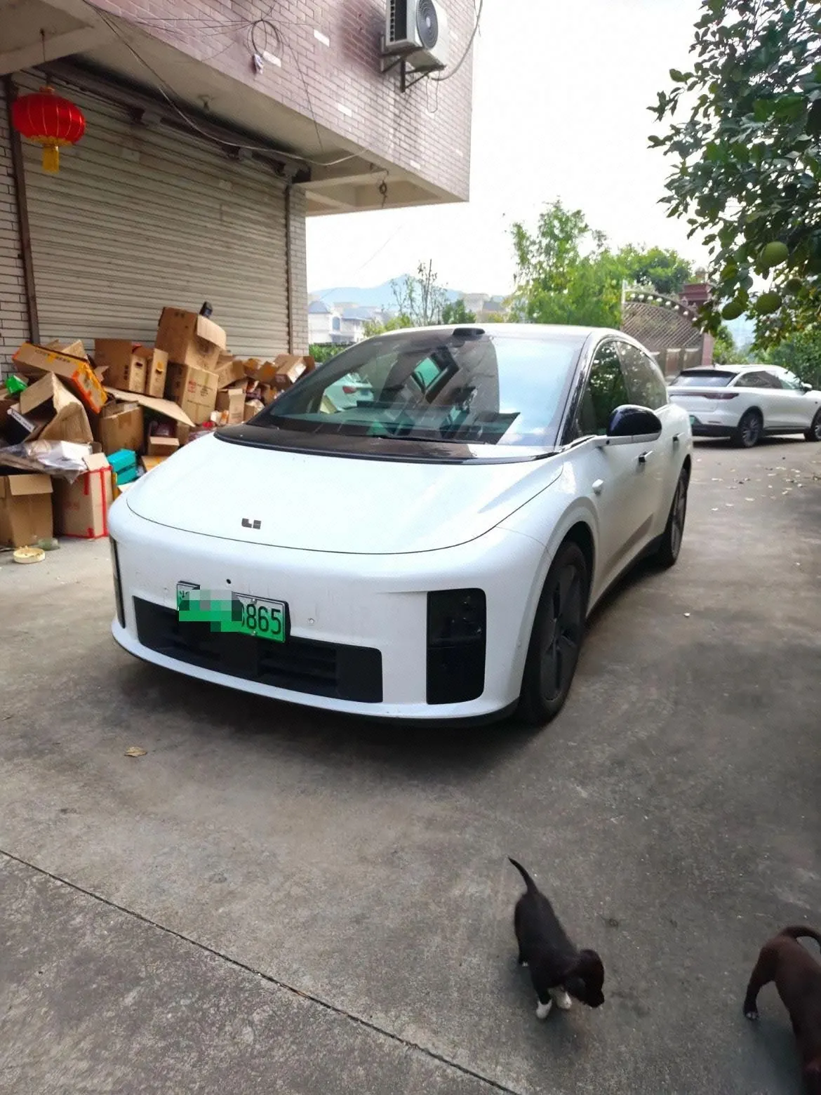 Открыть галерею: Li 2025 I 300.00g Drive Standard Edition Automatic Gear