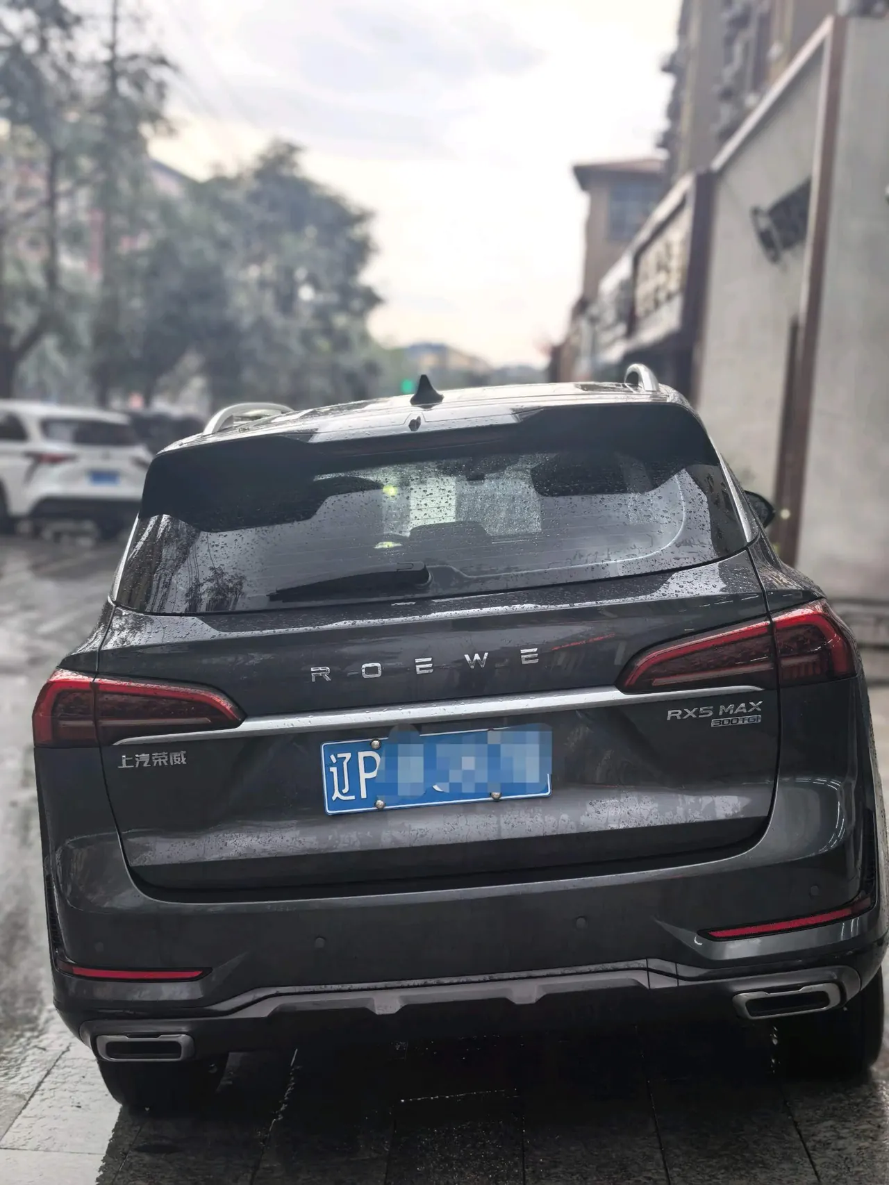 Roewe 2022 RX5 MAX 1.5T has a distinguished version of automatic gear 3