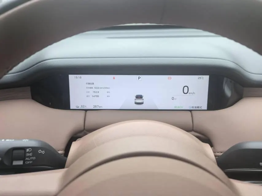 WuLing 2025 Plantronics S 430km Flagship Automatic 19