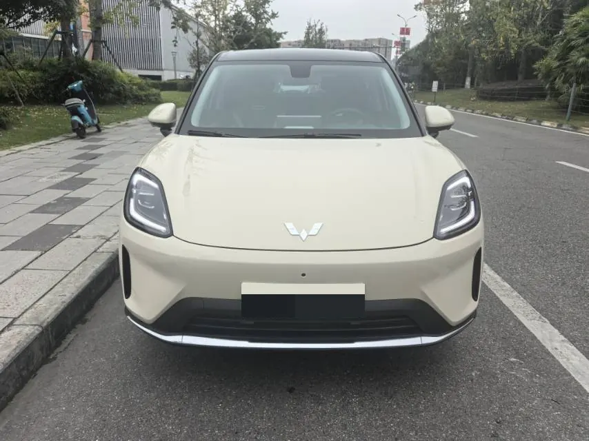 WuLing 2025 Plantronics S 430km Flagship Automatic 2