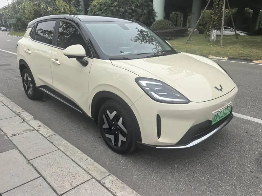 WuLing 2025 Plantronics S 430km Flagship Automatic 3