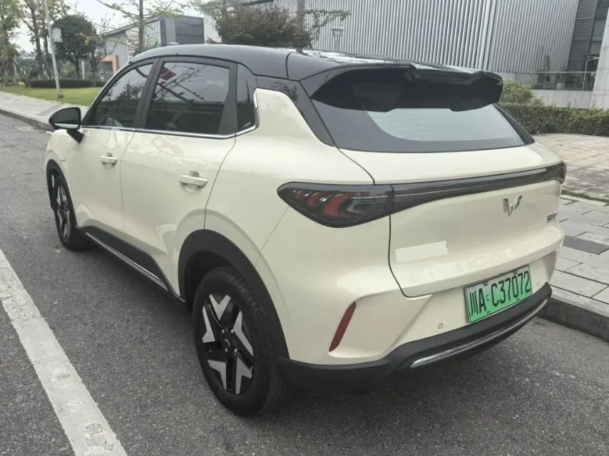 WuLing 2025 Plantronics S 430km Flagship Automatic 7
