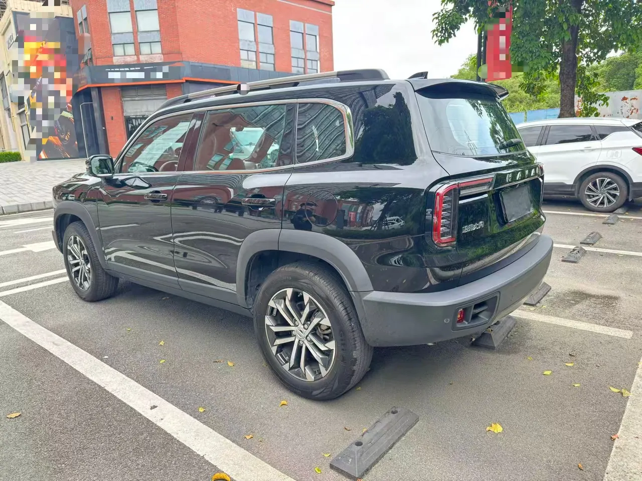 Haval 2022 big dogs 1.5T two-wheel-drive border animal husbandry version automatic gear 9