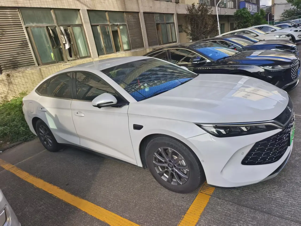 BYD 2025 Qin L DM-i 1.5 stepless smart driving version 80KM leading automatic gear 3