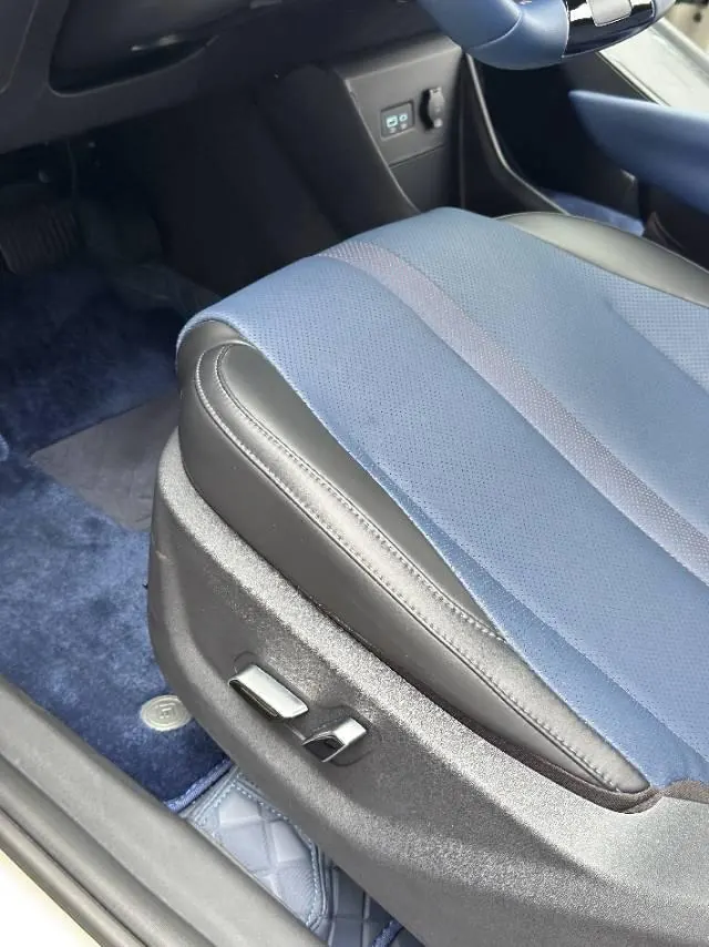 BYD 2025 seagulls 305km free version automatic gear 11