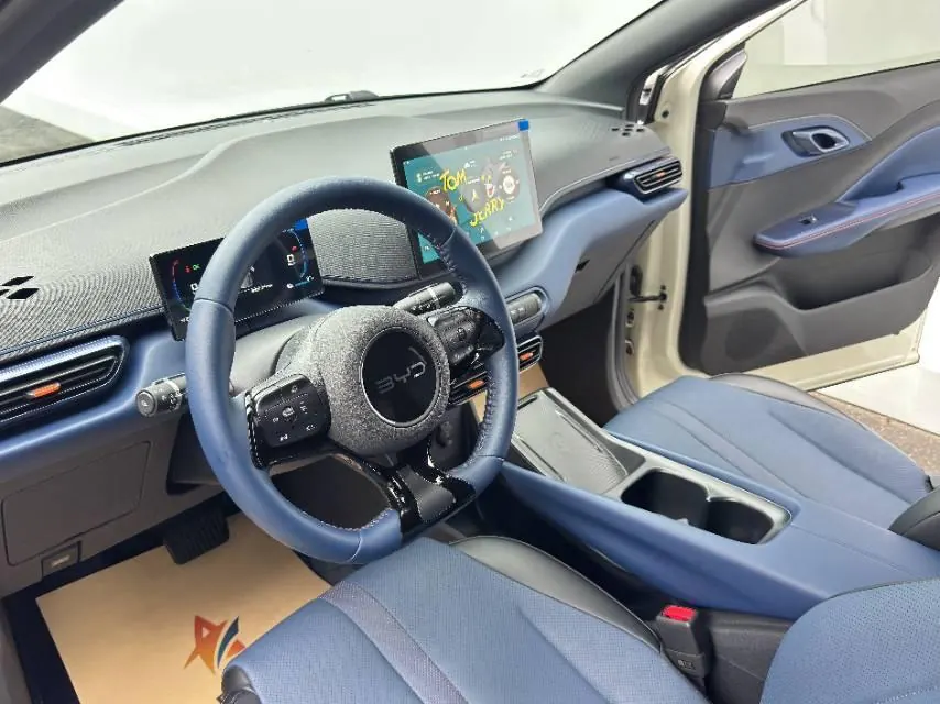 BYD 2025 seagulls 305km free version automatic gear 12
