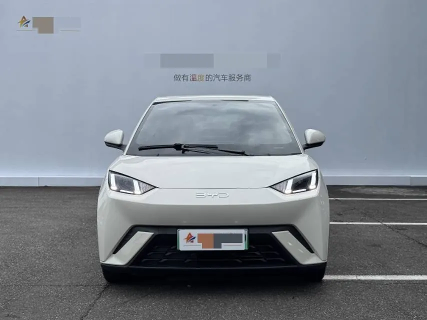 BYD 2025 seagulls 305km free version automatic gear 2