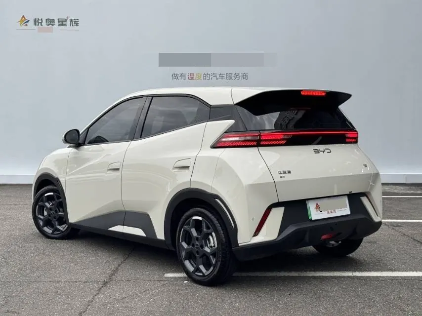 BYD 2025 seagulls 305km free version automatic gear 4
