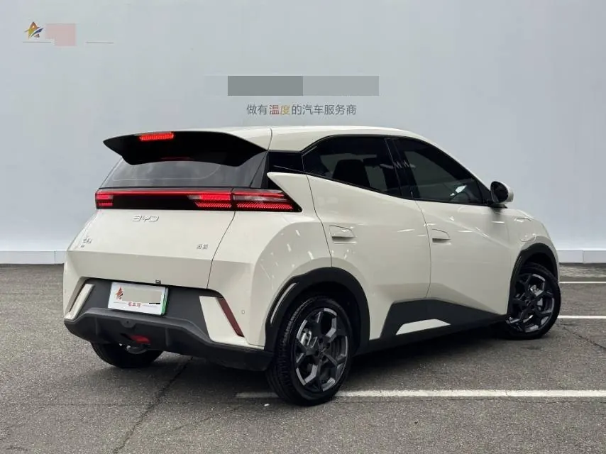 BYD 2025 seagulls 305km free version automatic gear 6