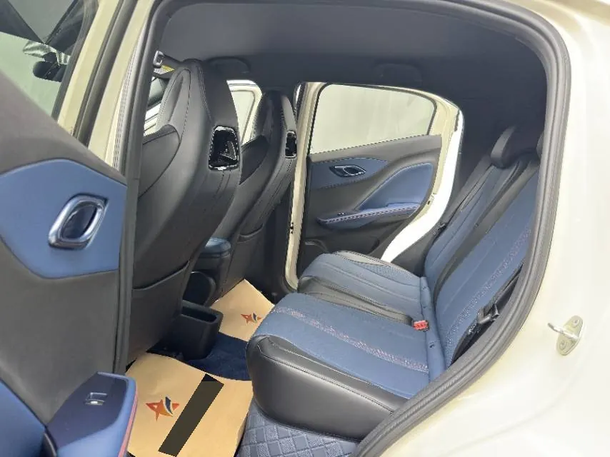 BYD 2025 seagulls 305km free version automatic gear 9