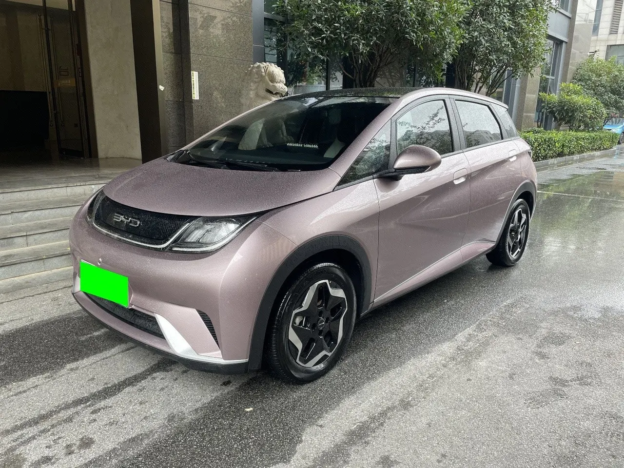 Open image lightbox: BYD 2021 Dolphin 405km Fashion Edition Automatic
