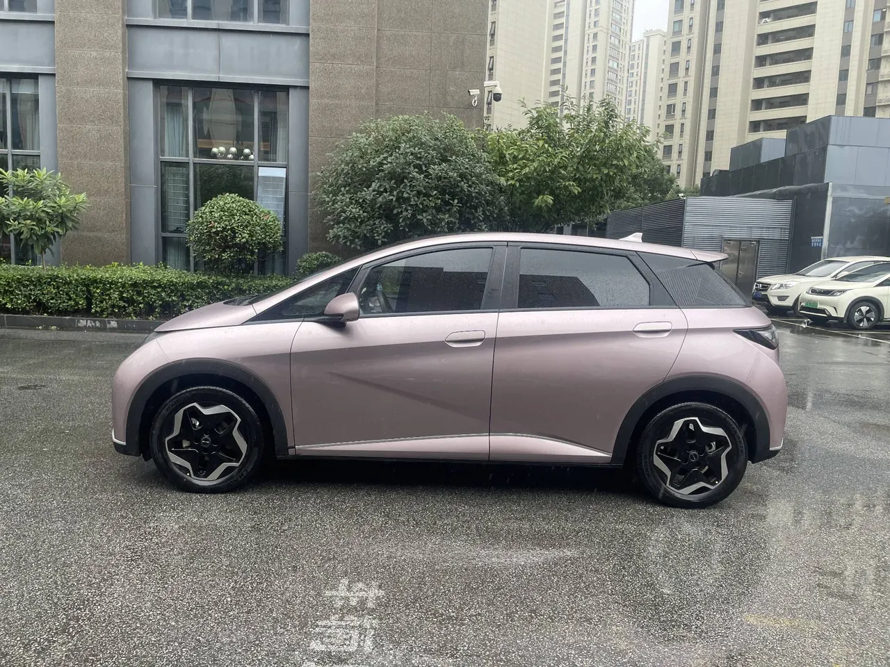 BYD 2021 Dolphin 405km Fashion Edition Automatic 10