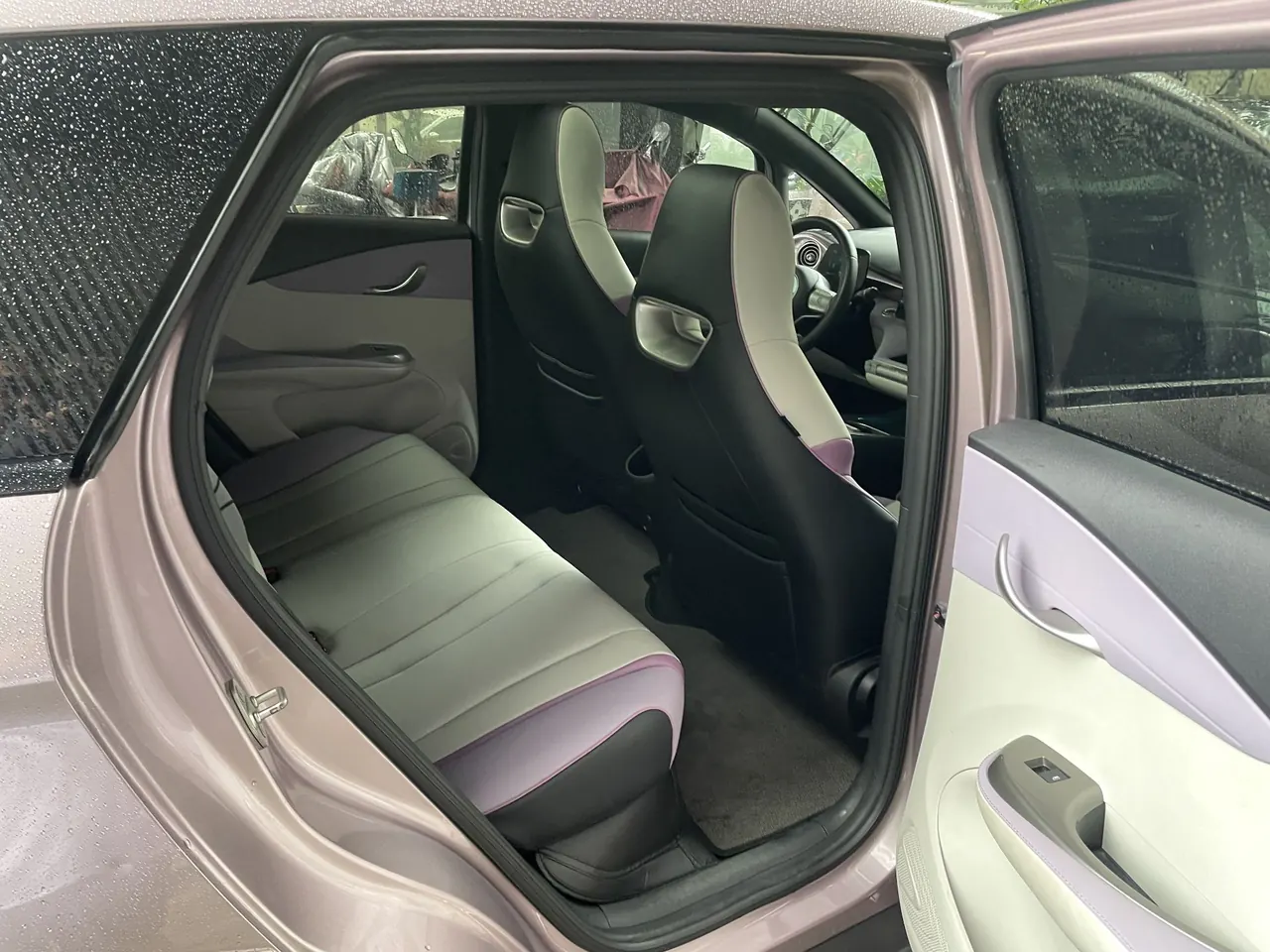 BYD 2021 Dolphin 405km Fashion Edition Automatic 11