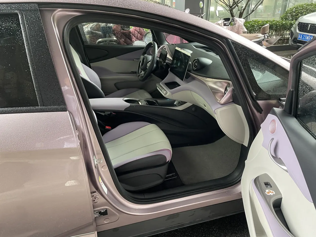 BYD 2021 Dolphin 405km Fashion Edition Automatic 13