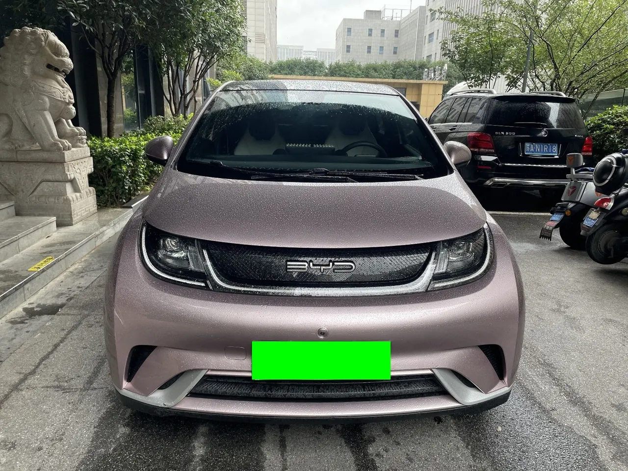BYD 2021 Dolphin 405km Fashion Edition Automatic 2