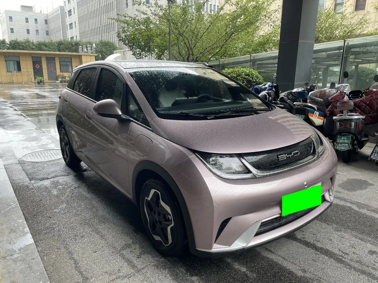 BYD 2021 Dolphin 405km Fashion Edition Automatic 3