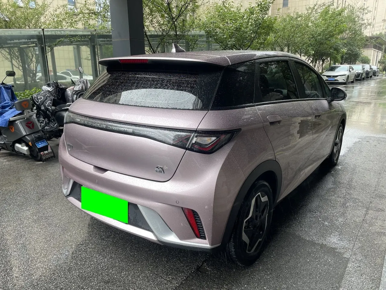 BYD 2021 Dolphin 405km Fashion Edition Automatic 4