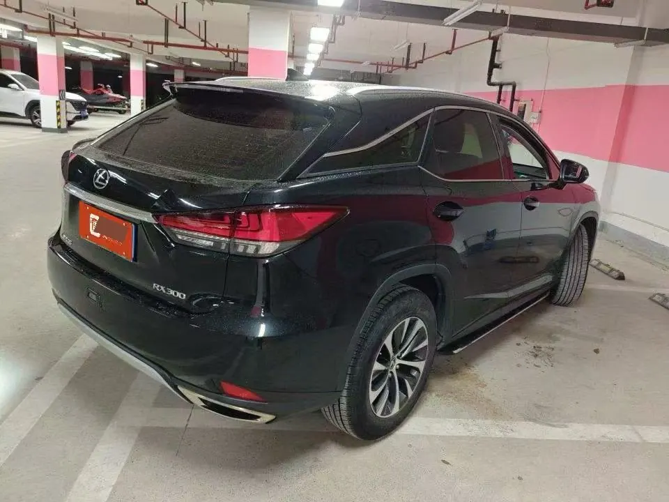 Lexus RX (Imported) 2020 RX300 2.0T Two-Drive Elite Edition (Revised) Automatic Gear 5