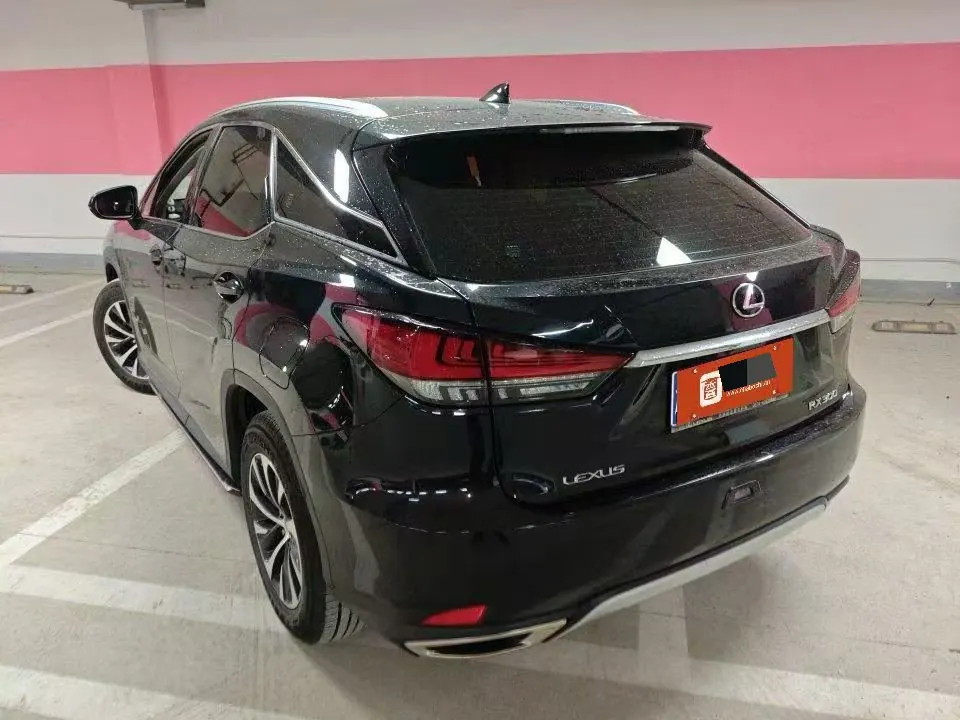 Lexus RX (Imported) 2020 RX300 2.0T Two-Drive Elite Edition (Revised) Automatic Gear 6
