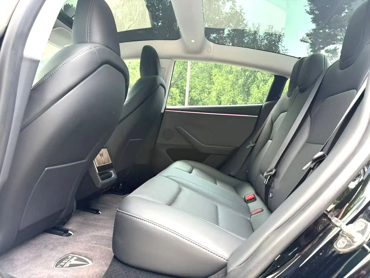 Tesla 2023 Model 3 Rejuvenation Edition Rear Wheel Drive Automatic Transmission 11