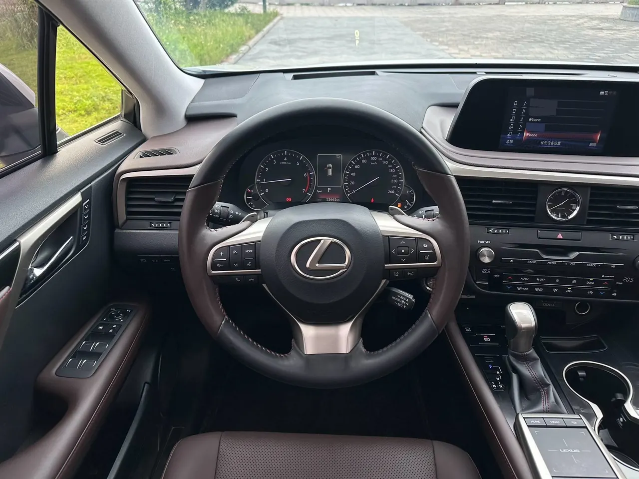 Lexus RX (Imported) 2020 RX300 2.0T Four-wheel Drive Elegant Edition (Modified) Automatic Gear 9