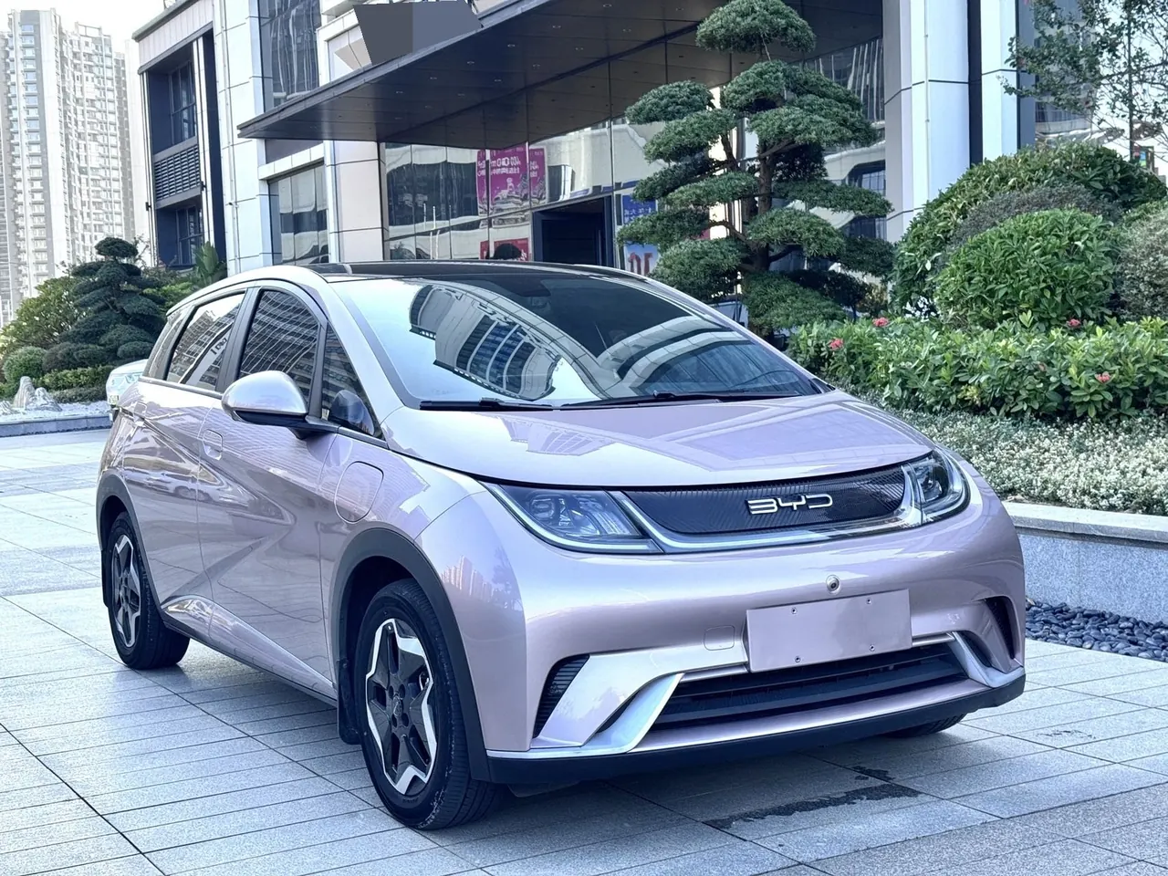 BYD 2021 Dolphin 405km Fashion Edition Automatic 3