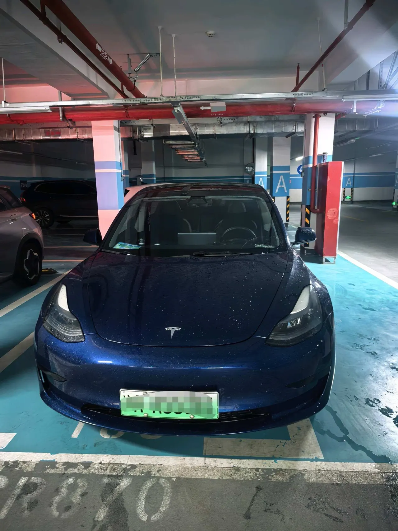 Tesla 2021 Model 3 Standard Endurance Rear Drive Upgraded Automatic Gear 2