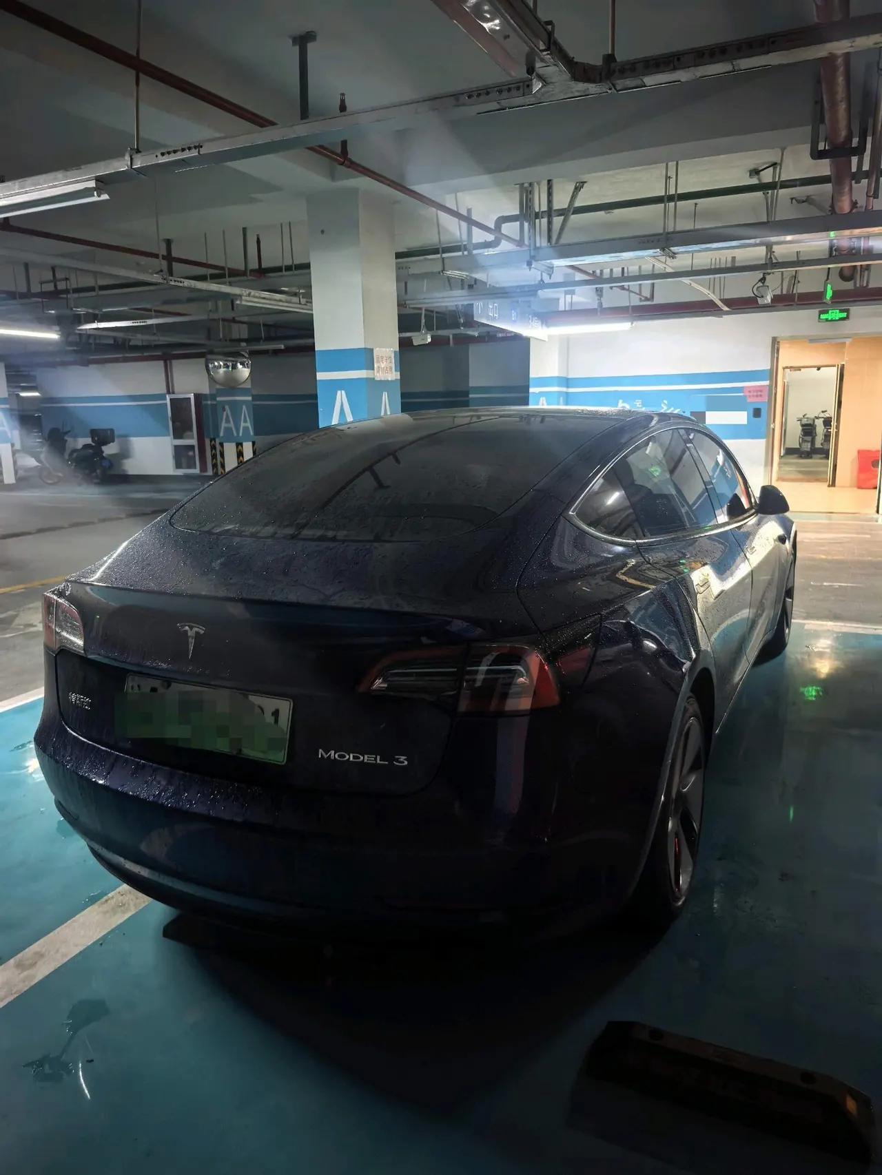 Tesla 2021 Model 3 Standard Endurance Rear Drive Upgraded Automatic Gear 5