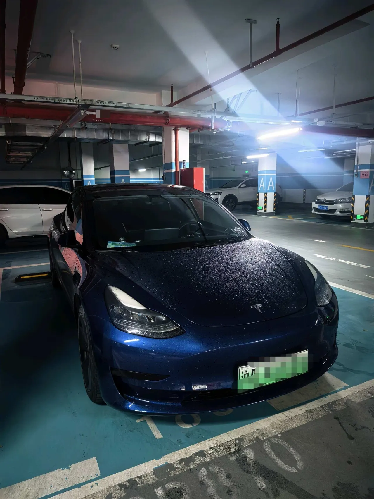 Tesla 2021 Model 3 Standard Endurance Rear Drive Upgraded Automatic Gear 6