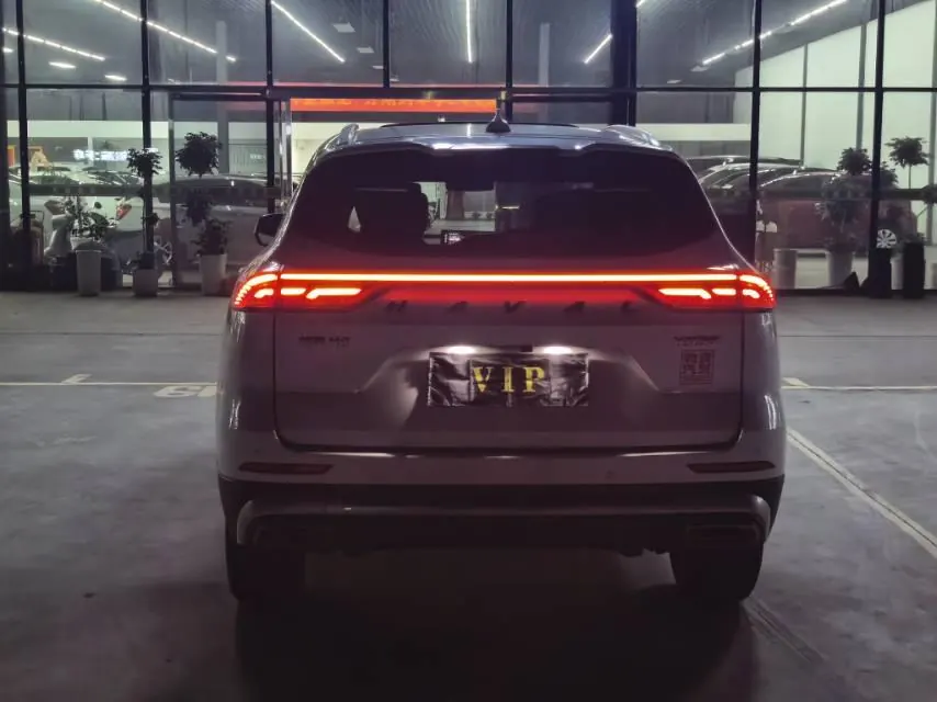 Haval 2021 H6 1.5T City Edition Automatic Gear 5