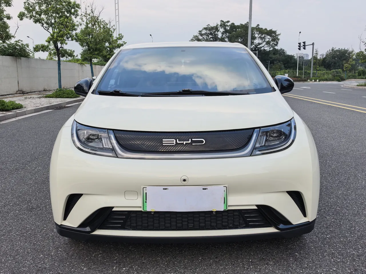 BYD 2023 Dolphins 420km Free Edition Automatic 2