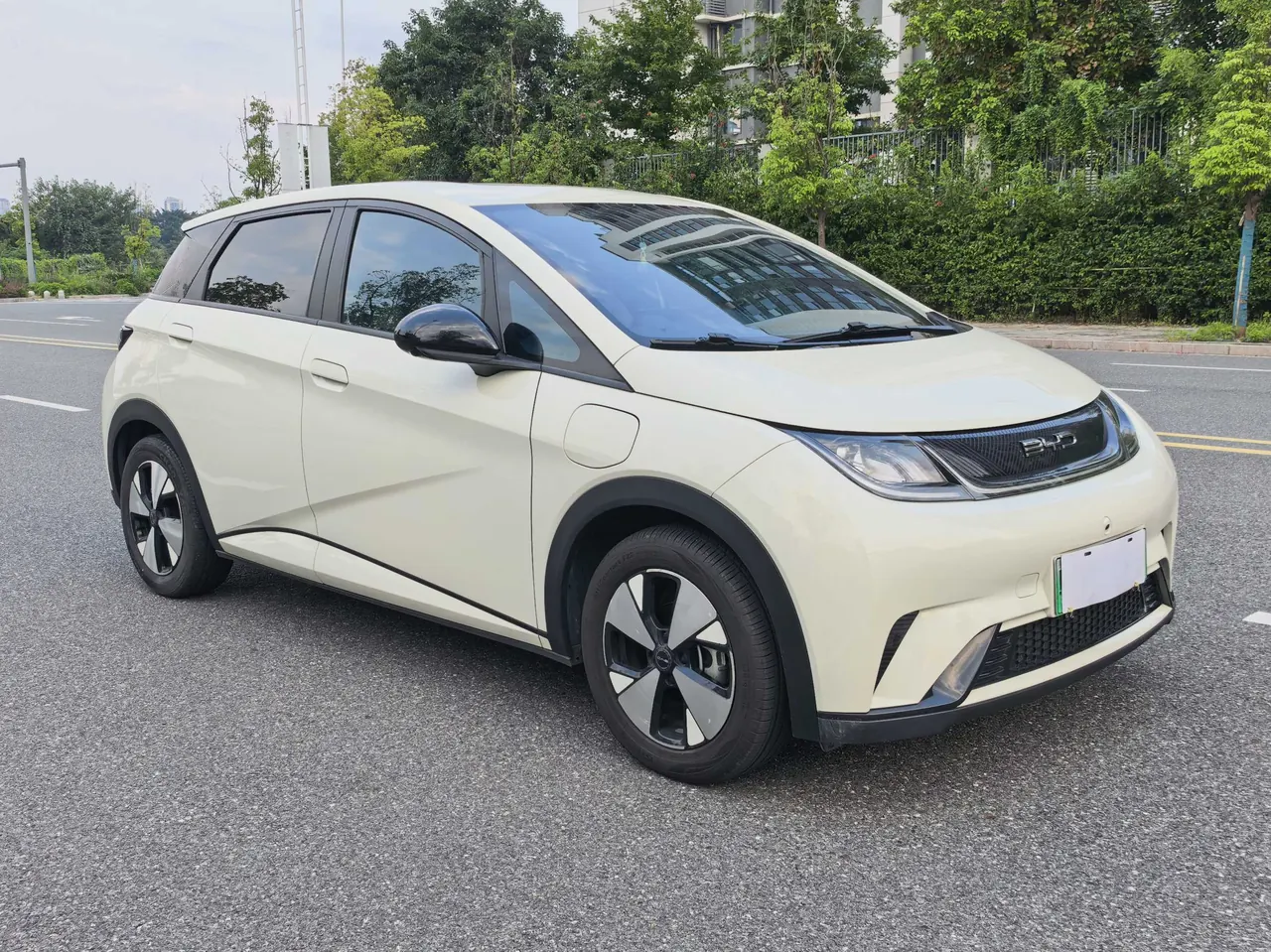 BYD 2023 Dolphins 420km Free Edition Automatic 3