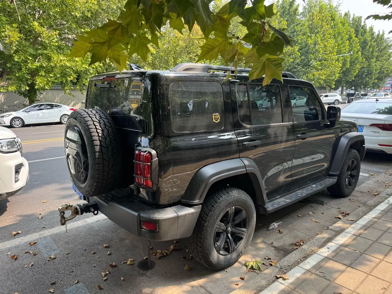 Tank 2023 Tank 300 2.0T Off-road Conqueror Automatic 10