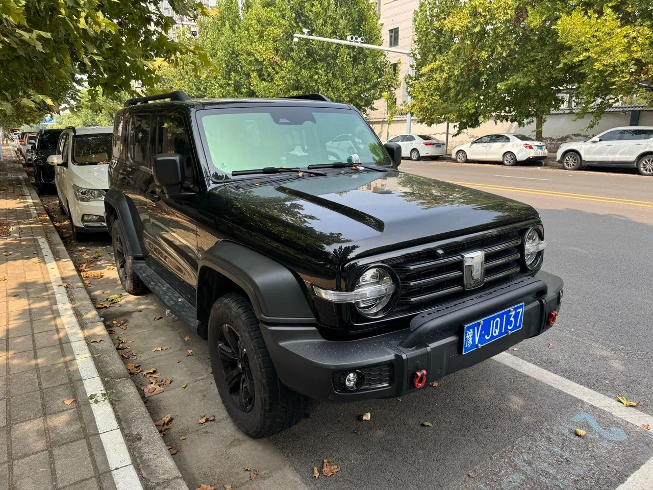 Tank 2023 Tank 300 2.0T Off-road Conqueror Automatic 2