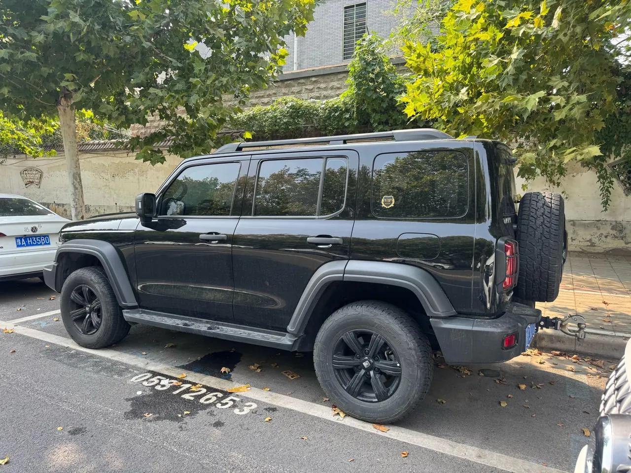 Tank 2023 Tank 300 2.0T Off-road Conqueror Automatic 3