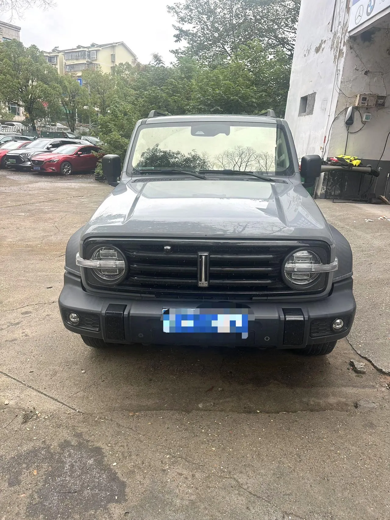 Tank 2021 Tank 300 2.0T Off-road Conqueror Automatic 3