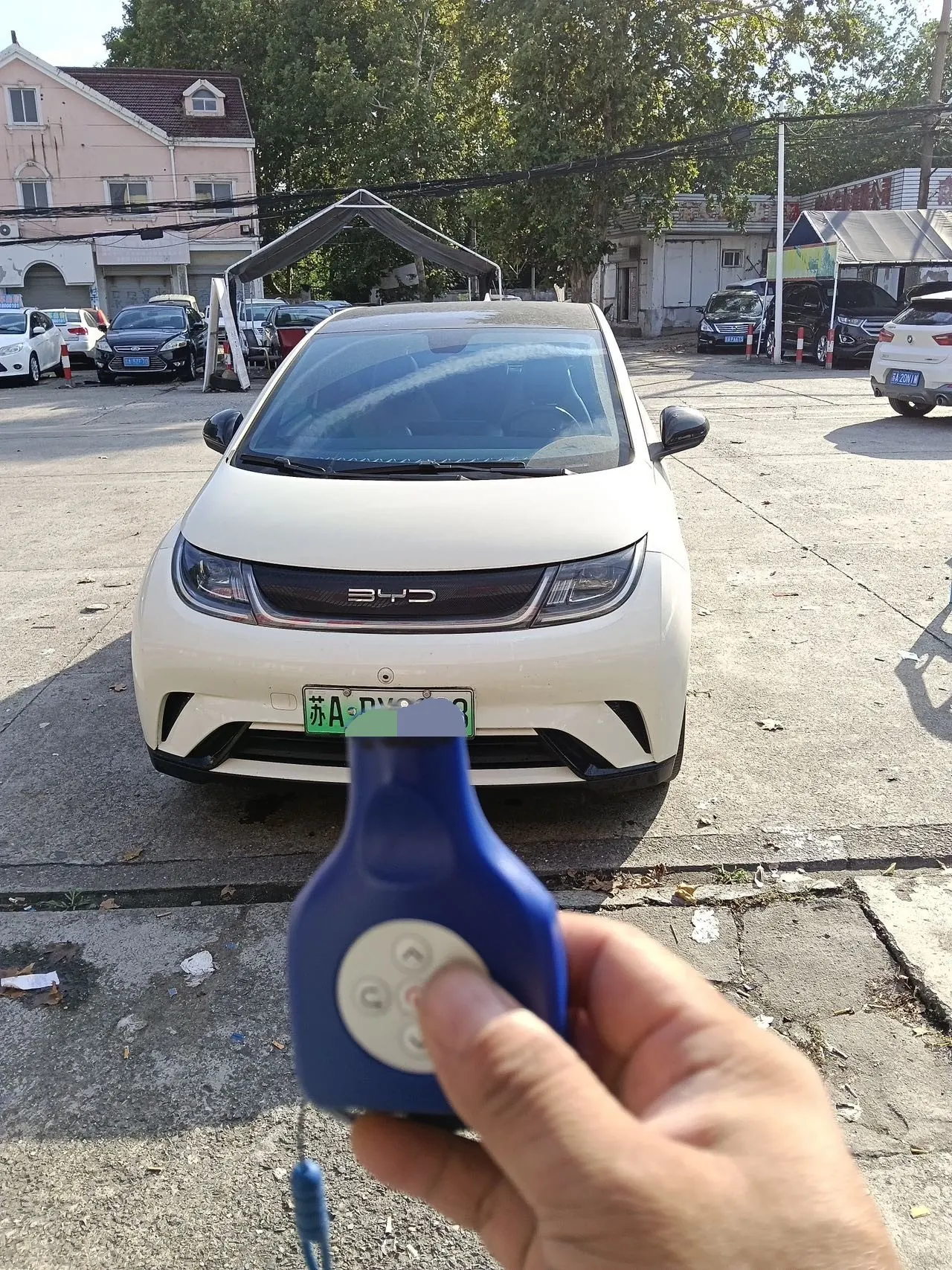BYD 2023 Dolphins 420km Free Edition Automatic 2