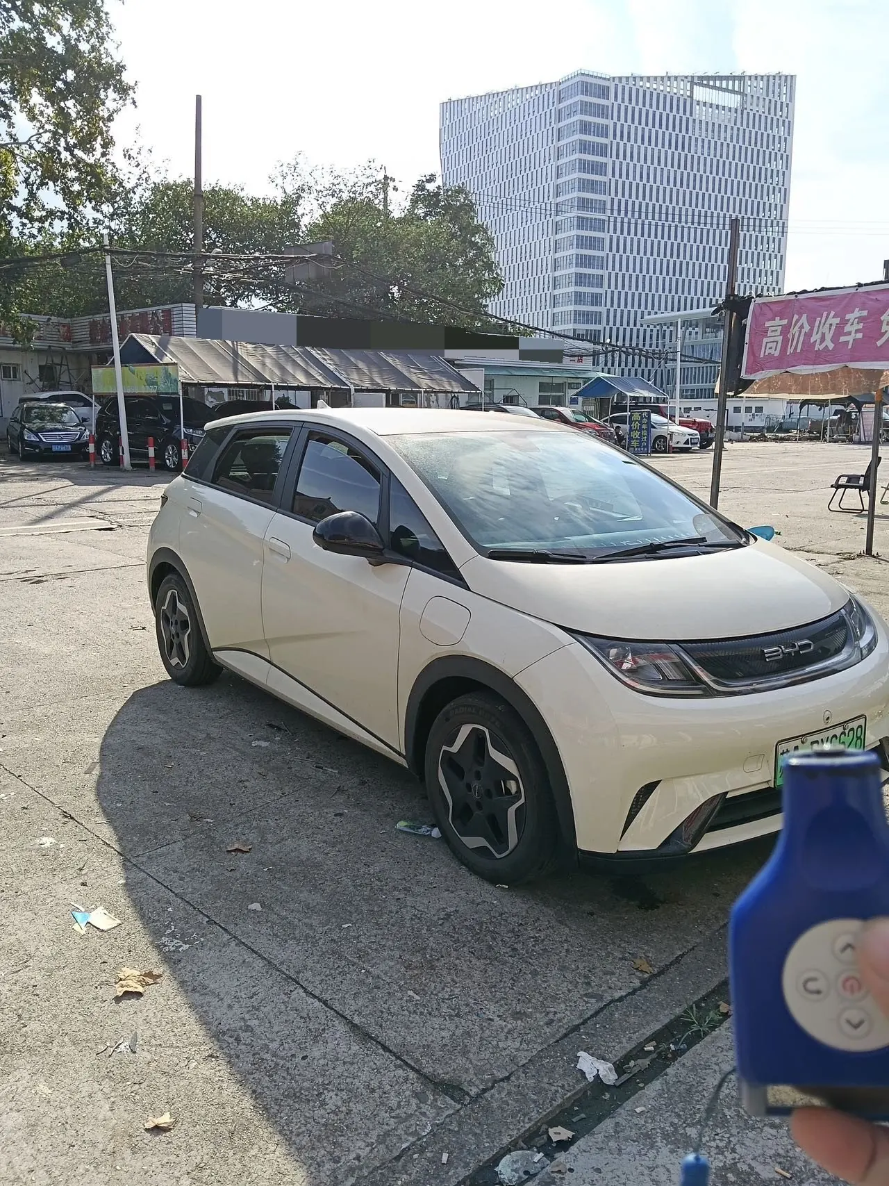 BYD 2023 Dolphins 420km Free Edition Automatic 5