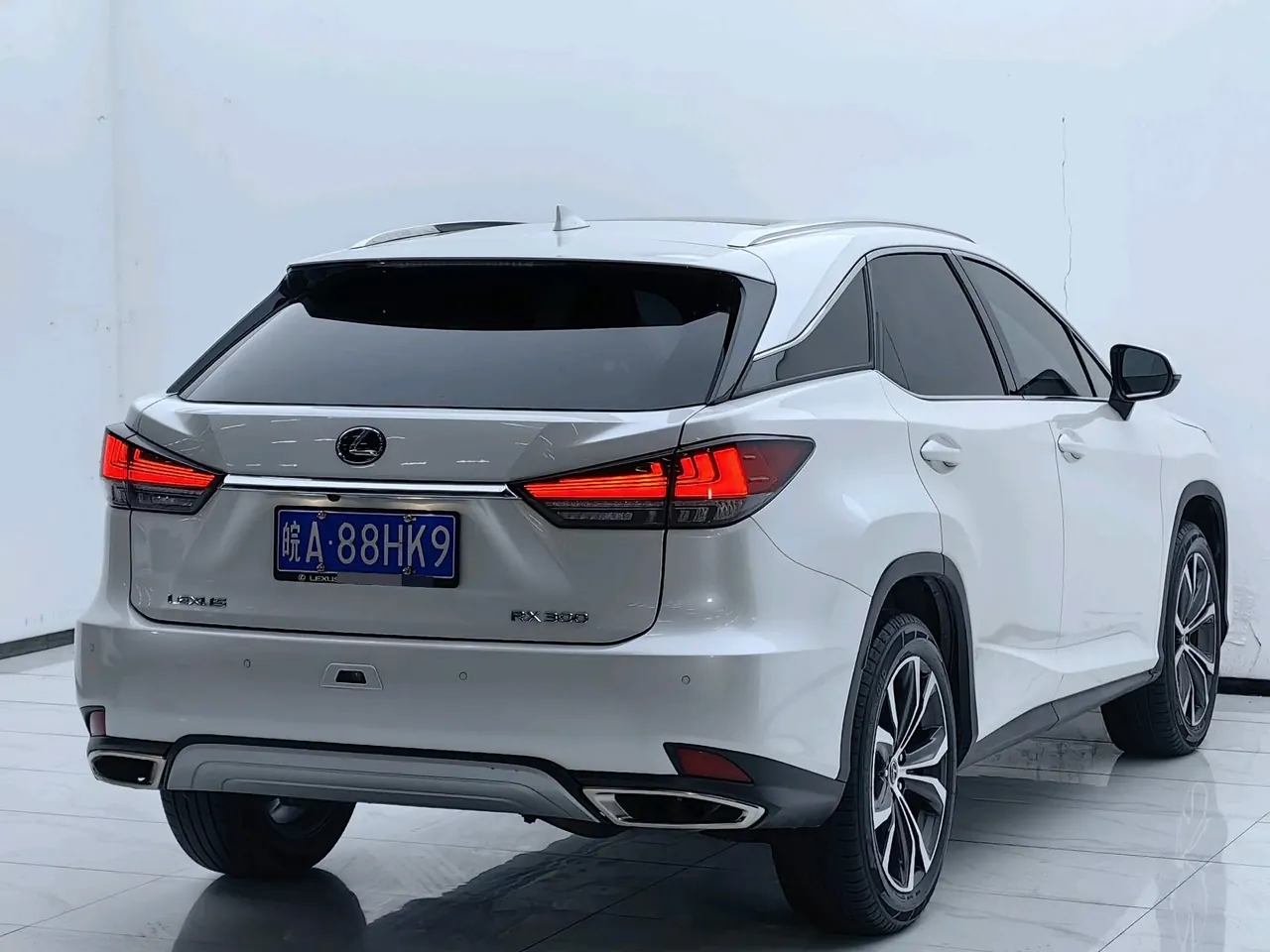 Lexus RX (Imported) 2020 RX300 2.0T Four-wheel Drive Elegant Automatic Gear 19