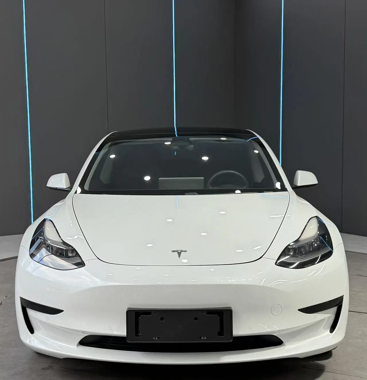 Tesla 2021 Model 3 Standard Endurance Rear Drive Upgraded Automatic Gear 2