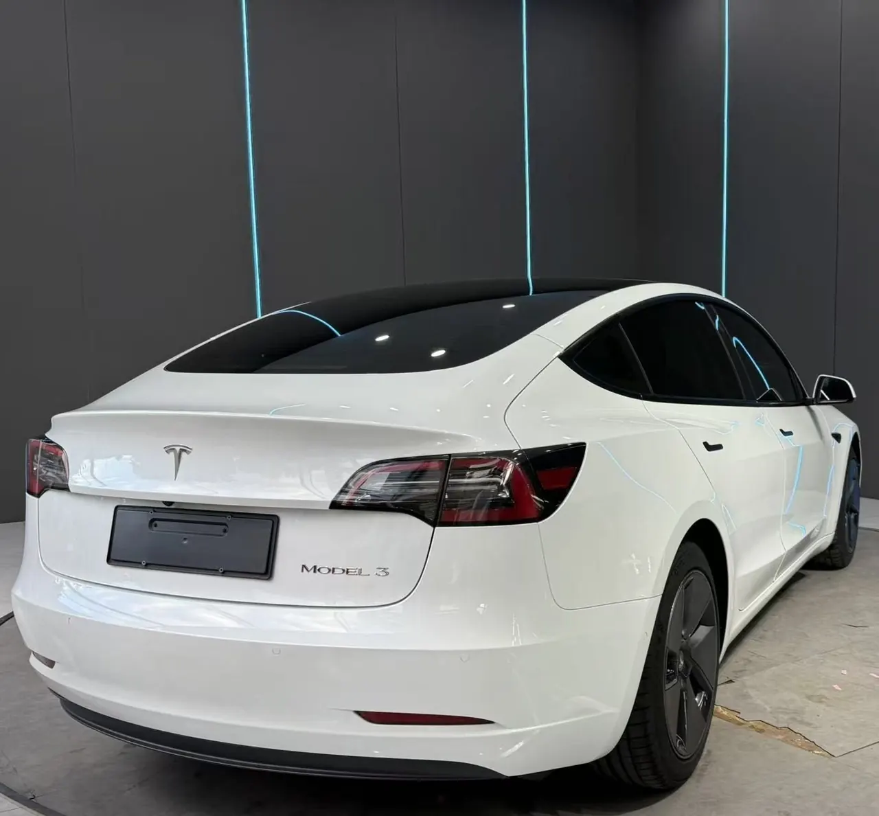 Tesla 2021 Model 3 Standard Endurance Rear Drive Upgraded Automatic Gear 6