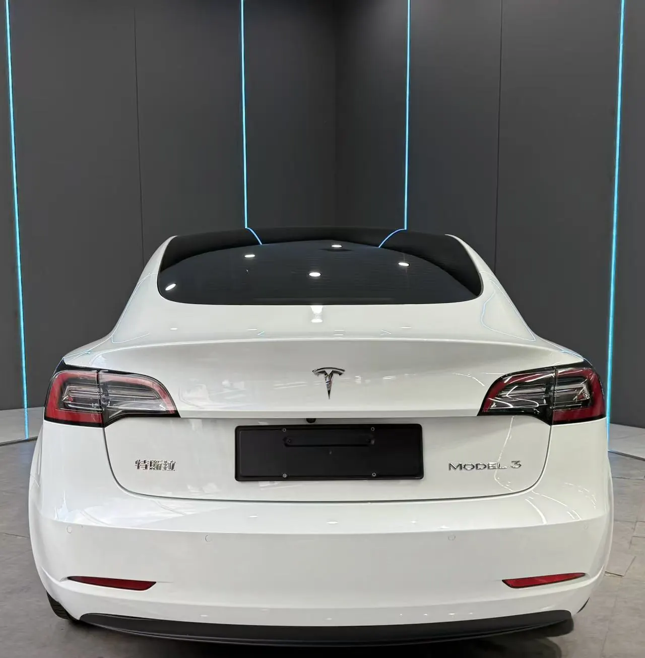 Tesla 2021 Model 3 Standard Endurance Rear Drive Upgraded Automatic Gear 7