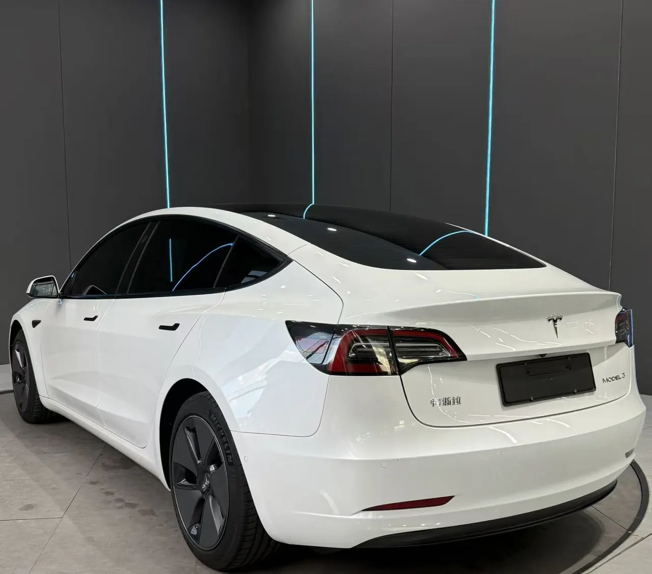 Tesla 2021 Model 3 Standard Endurance Rear Drive Upgraded Automatic Gear 8