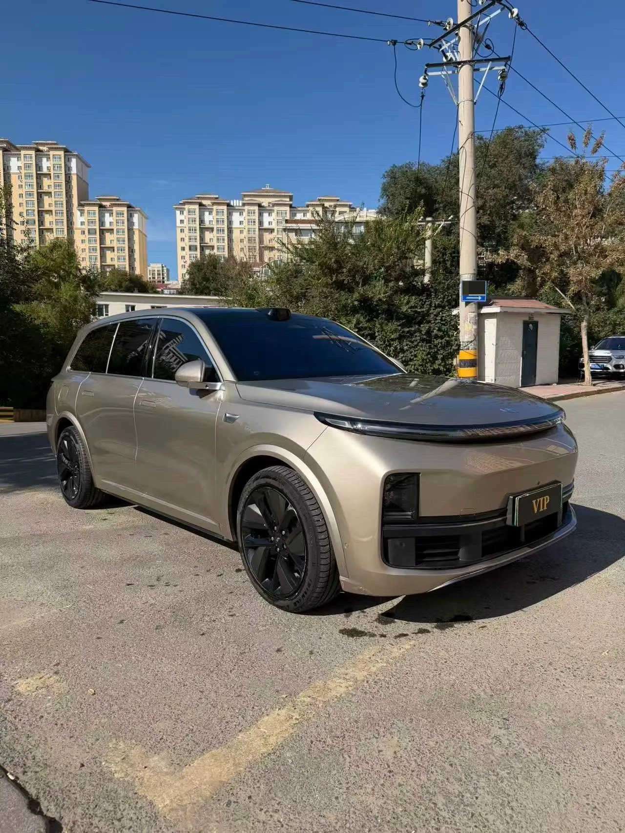 Li 2022 L9 1.5T Max Edition Automatic Gear 3