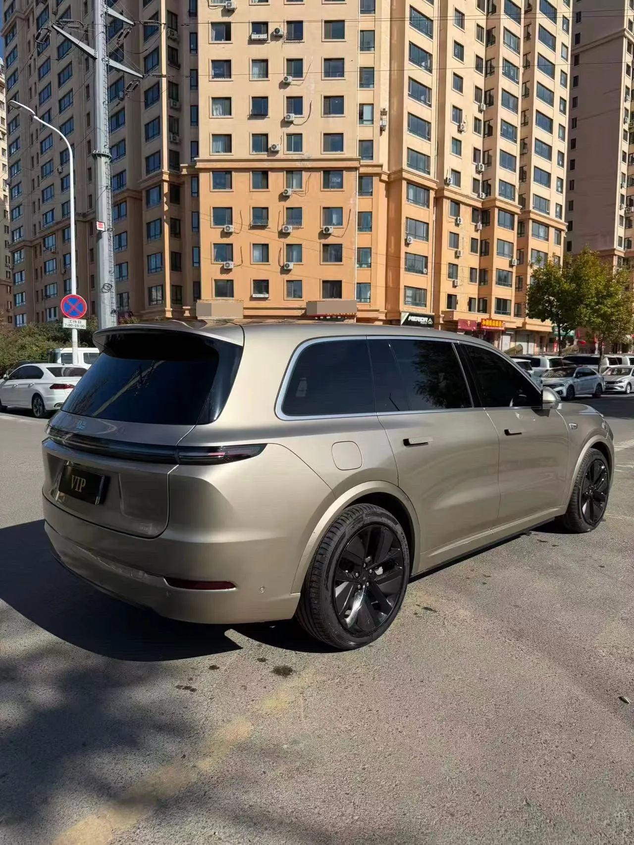 Li 2022 L9 1.5T Max Edition Automatic Gear 5